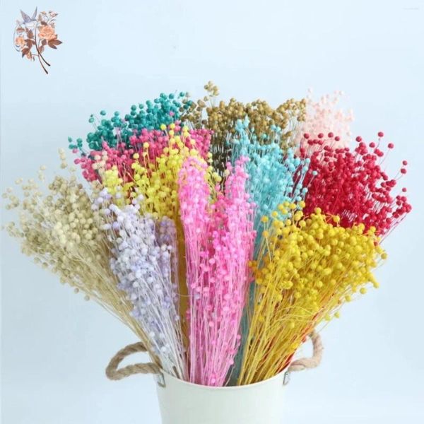 Flores decorativas naturais buquês de grama de linho seco preservado plantas reais para decoração de quarto de casa material diy decoração de casamento resina epóxi