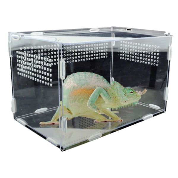 Terrari Reptile Baschetta da riproduzione rettile trasparente rettile acrilico serbatoio di terrarium ragni di lucertola lucerto