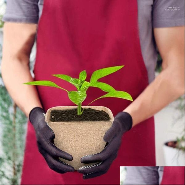 Planters Pots 50Pcs/Set Square Seed Nursery Plant Starter Peat Flower Vegetable Seedlings Cup Paper Trays Garden Supplies 6Cm25 Dr Ot2Nl