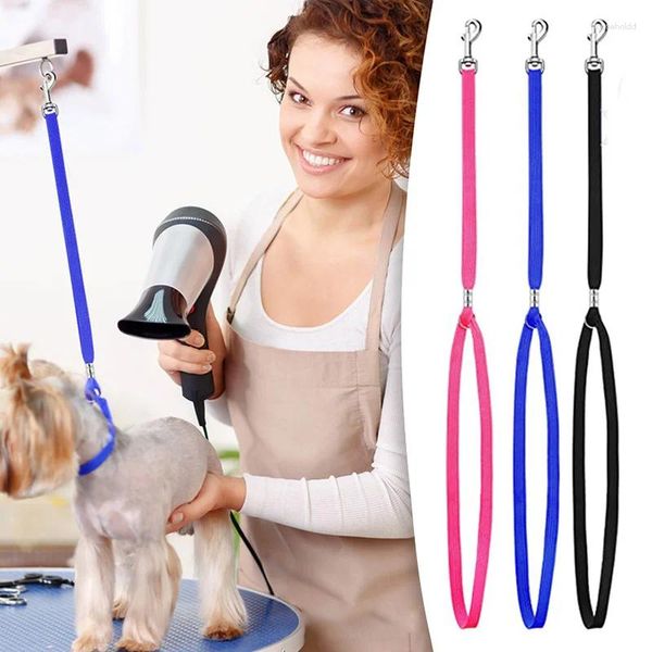 Coleiras para cães trela ajustável leva fixa segurança gato corda náilon contenção noose pet grooming loops suprimentos de mesa