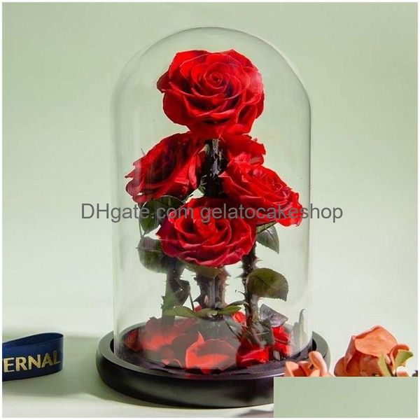 Getrocknete Blumen, ewige, konservierte Rosen in einer Glaskuppel, 5 Blütenköpfe, Rosenliebe, Hochzeitsgeschenk, Muttertagsgeschenke für Frauen, Freundinnen, 2 Dhofa