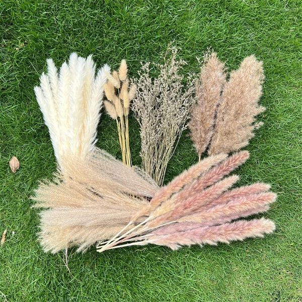 Flores decorativas 100 peças grama de pampas decoração de casa cauda de coelho seca natural faça você mesmo arranjo de arco de casamento boho decoração de banheiro de fazenda