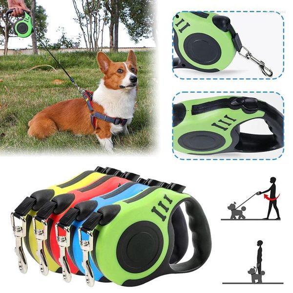 Hundehalsbänder 1 stücke Leine 3m 5m Langlebige automatische einziehbare Nylon-Katzenleine-Verlängerung Welpen-Walking-Lauf-Roulette für