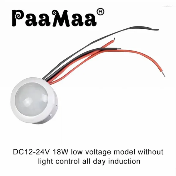 Controllo Domestico Intelligente PaaMaa DC 12V 24V PIR Rilevatore automatico di movimento a infrarossi Interruttore della luce IR Induzione del corpo umano Lampada da esterno per interni