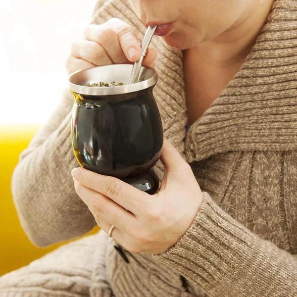 TeAware Setleri 8oz Yerba Mate kabak seti ev temizlik fırçası paslanmaz çelik çift duvarlı bardak çay bomba sepeti