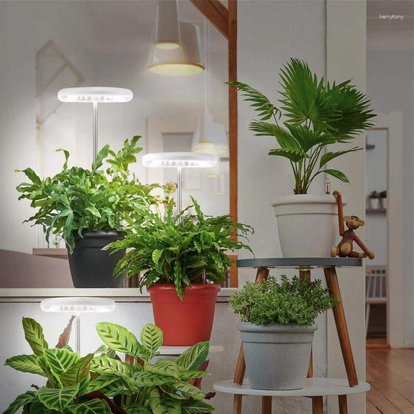 Wachstumslichter, Pflanzenlicht, LED-Wachstumslampe, volles Spektrum für Zimmerpflanzen, Bonsai, höhenverstellbar, dimmbar, automatischer Timer