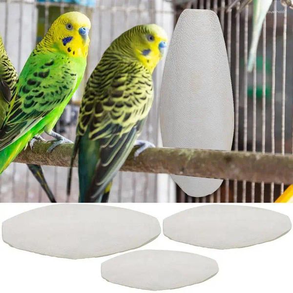 Outros suprimentos de pássaros 10 pcs choco sépia osso papagaio mascar cuttle comida cálcio pickstone periquitos budgies cockatiels cuttlebone brinquedo