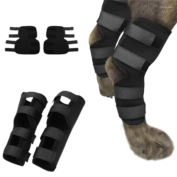 Cão vestuário pet joelheiras suporte cinta para perna hock joint envoltório respirável lesão recuperar pernas protetor protege bandagem