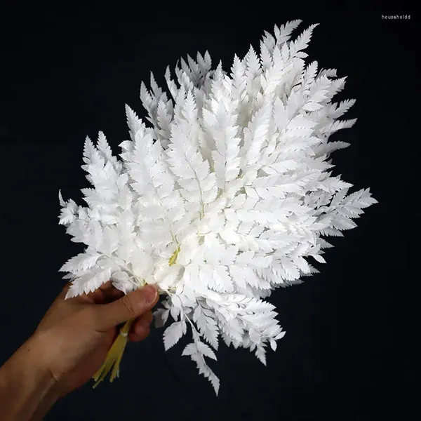 Flores decorativas 10 pçs preservado natural real branco arachniodes folha de couro samambaia folhas frescas plantas decoração de natal