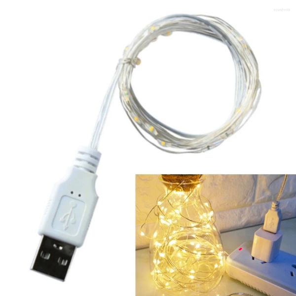 Weihnachtsdekorationen 3M 2M 1M USB LED Lichterketten Kupfer Silberdraht Girlande Licht Wasserdicht Fee für Hochzeitsfeier Dekoration