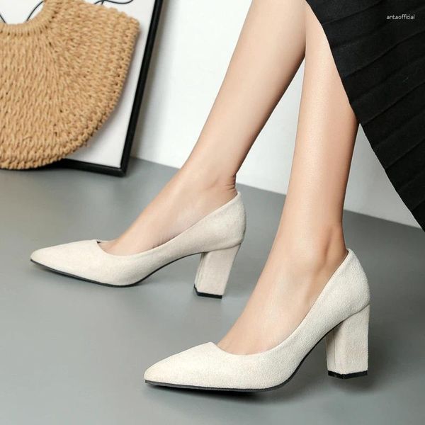 Sapatos de vestido tamanho grande 42 apontou toe salto grosso salto alto mulheres primavera deslizamento-on mulheres modernas boca rasa único