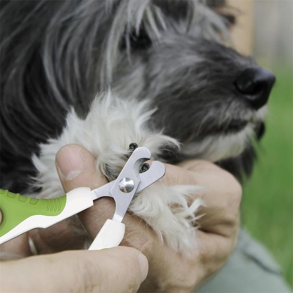 Haustier-Nagelknipser für kleine Tiere, Katzen-Nagelknipser, Krallenschneider für die Heimpflege, professionelles Pflegewerkzeug für kleine Hunde, Katzen, Hasen, Kaninchen, Vögel, Welpen