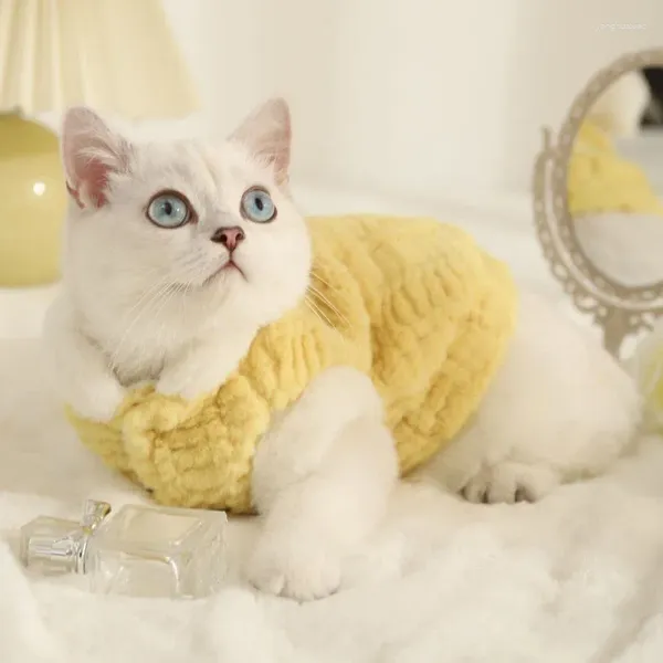 Trajes de gato Roupas para animais de estimação inverno quente prevenção de cabelo cão e camisola suprimentos duas pernas de calça