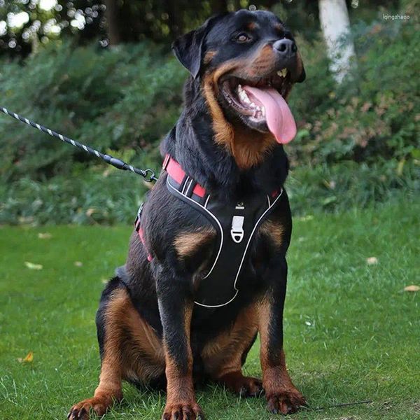 Coleiras para cães, conjunto de trela para cães médios e pequenos, ajustável, controle de animais de estimação, alça de segurança, acessórios de colete de malha