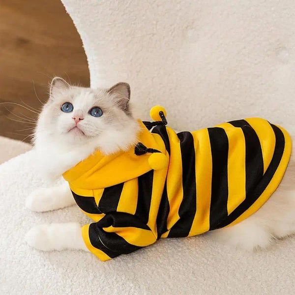 Costumi per gatti Maglione pullover con cappuccio con cappuccio gattino con design a ape Abiti invernali morbidi e traspiranti Costume in felpa di velluto sottile