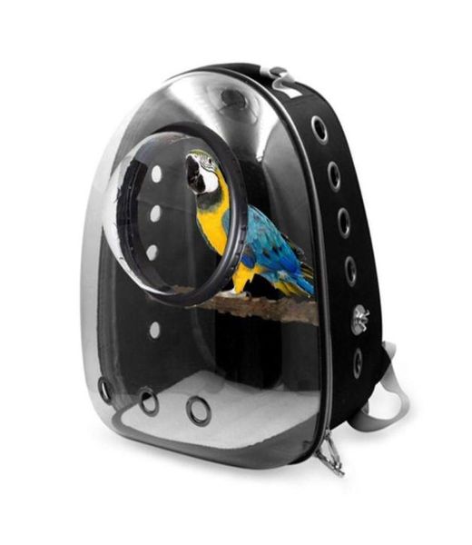 Cat Carrierscrates Taşınabilir Parrot Taşıyıcı Sırt Çantası Seyahat Kafesi Kuşlar Nefes Alabilir Oxford PVC Bez Şeffaf Uzay Case 4666003