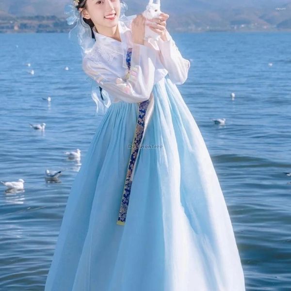 Ethnische Kleidung 2024, verbessertes koreanisches traditionelles Kleid, blaue Gaze, weiblicher Hof, eleganter Hanbok, Feenpografie W198