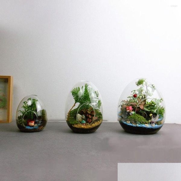 Vasos criativos em forma de ovo garrafas de vidro succent vaso hidropônico carnudo micro paisagem terrário musgo decoração de casa gota entrega g otknd