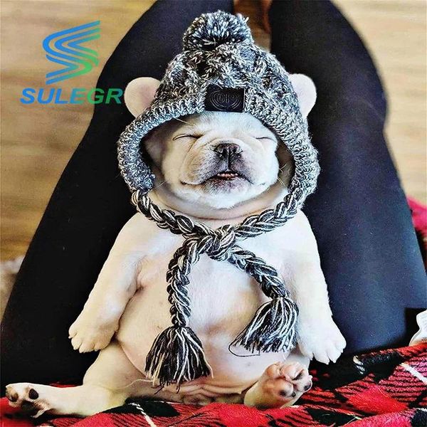 Abbigliamento per cani SULEGR Cappello caldo lavorato a maglia per animali domestici Cappelli invernali per cani di piccola taglia con fori per le orecchie e lunghe nappe grigie