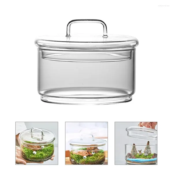 Vasi 1 set di vasi idroponici vuoti fai da te contenitore micro paesaggistico decorazioni per terrari in vetro