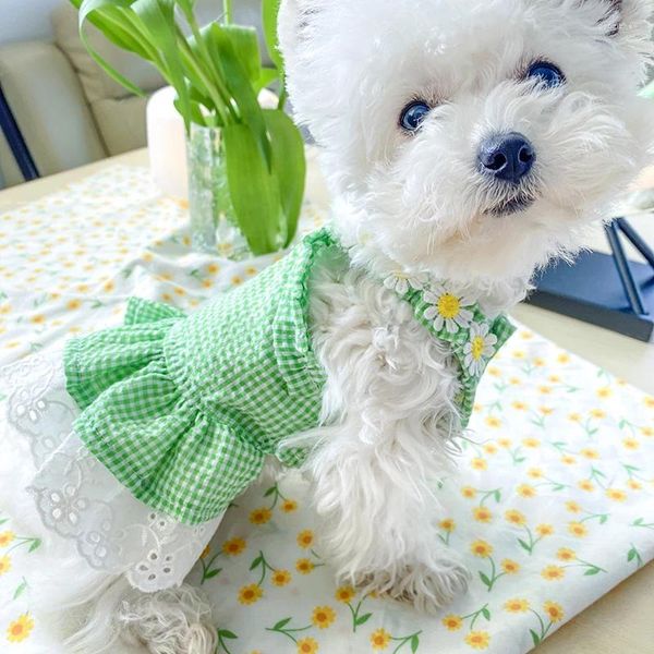 Abbigliamento per cani PETCIRCLE Vestiti Mini vestito da sole a quadri verde per cucciolo di piccolo animale domestico Cappotto estivo con gonna in costume carino