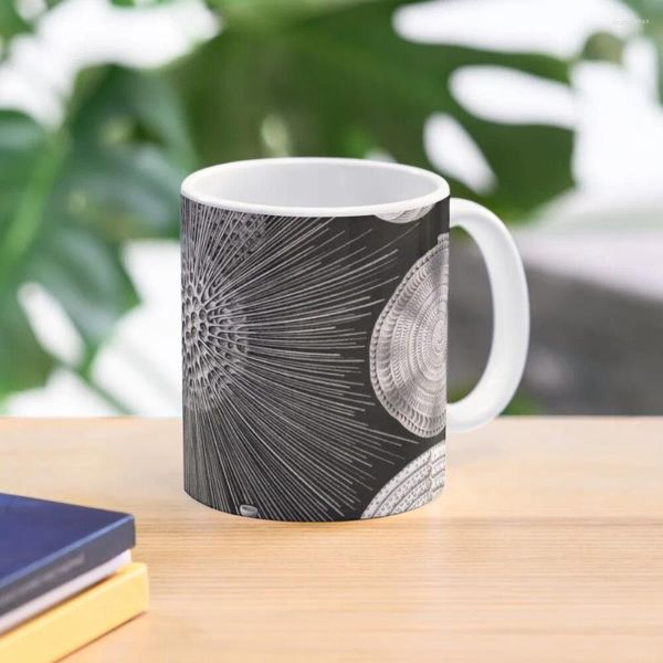 Кружки Thalamophora (Foraminifera: Foraminifers - A Protozoan) Ernst Haeckel Coffee Mug Cups Of Funny Large