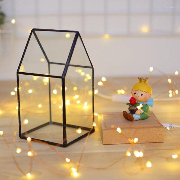 Lampade da tavolo Batteria Nordic Wind Fire Silver Flower House LED Compleanno Regalo di Natale Creativo Firefly USB Touch Switch Luce notturna