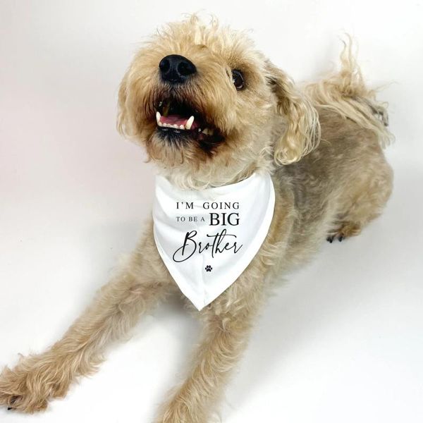 Hundebekleidung „I'm Going To Be A Big Brother“, bedrucktes Halstuch, Schwangerschaftsankündigung, Haustierbandada, Babyidee, Geschenk