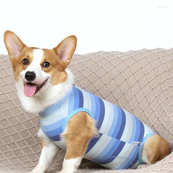 Roupa para cães Recuperação Terno Macacão de quatro pernas Roupas Pós-Operatório Colete Anti Lambendo Feridas Após Produtos para Animais de Estimação