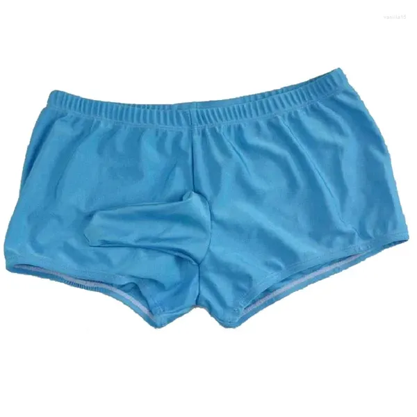 Mutande Intimo da uomo sexy di marca Mutandine maschili a vita bassa Pantaloni boxer da uomo trasparenti