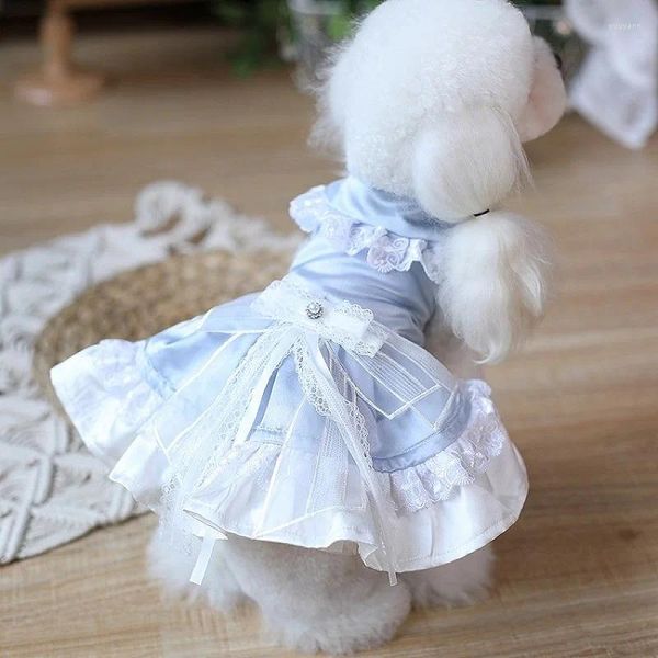 Abbigliamento per cani Design originale Abiti fatti a mano Fornitore di animali Abito da giorno Fiocco in pizzo Stile classico Costume intero azzurro Poodle Terrier