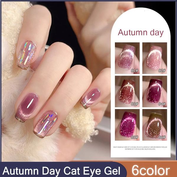 6 colori Autumn Day Glitter Crystal Cat Eye Gel Smalto per unghie 10 ml Flash Chameleon Gel magnetico Semi permanente Soak Off Gel UV LED 240129