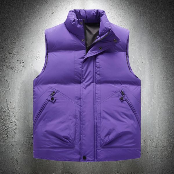 Фиолетовый жилет, мужская однотонная осенне-зимняя хлопковая стеганая куртка без рукавов, мужские утепленные жилеты, пальто, мужская одежда 240125