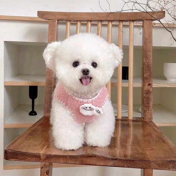 Cão vestuário gato colete undershirt teddy bichon frise gatos bonito primavera inverno quente outono mais veludo roupas para animais de estimação