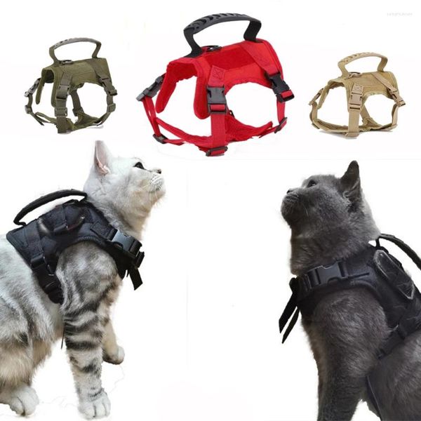 Costumi per gatti Gilet tattico con imbracatura con manico Servizio militare senza tiraggio per cani di piccola taglia regolabile per passeggiate con cuccioli