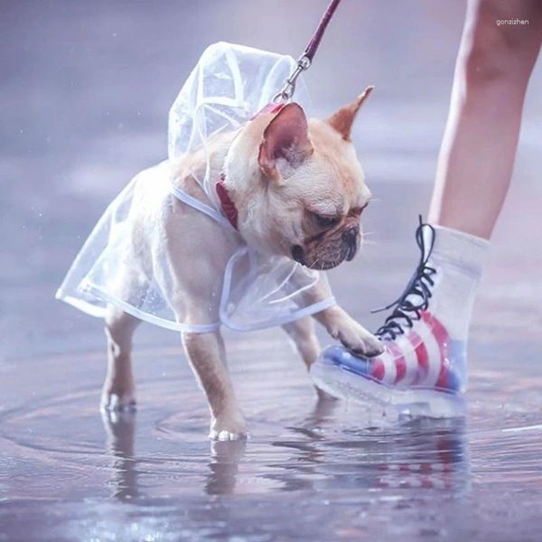 Cão vestuário transparente pet capa de chuva suprimentos ao ar livre moderna simplicidade casa filhote de cachorro criativo poncho moda impermeável capas de chuva