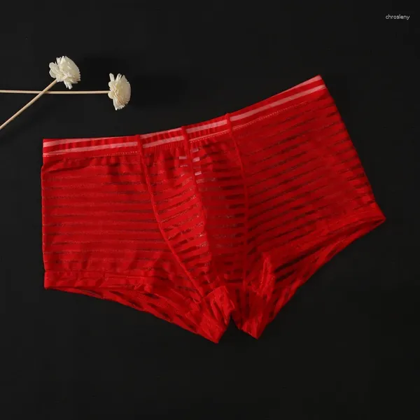 UNDANTANT'lar Erkek iç çamaşırı şort çıkıntılı çantası seksi pantolonlar gövde alçak bel iç çamaşırı külot bikini şeffaf