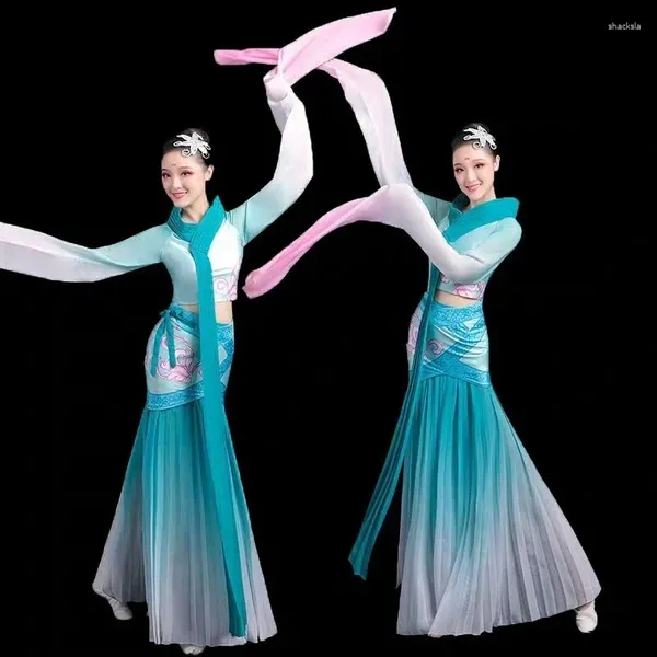 Abbigliamento da palco Abbigliamento classico Dacne con maniche ad acqua Costume tradizionale Yangko Costume da fan nazionale di danza Hanfu in stile cinese