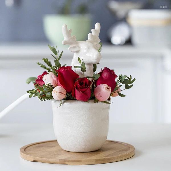 Vasi in ceramica stile nordico testa modello vaso per bambina ritratto creativo animale foro rotondo fiore secco inserendo pendolo