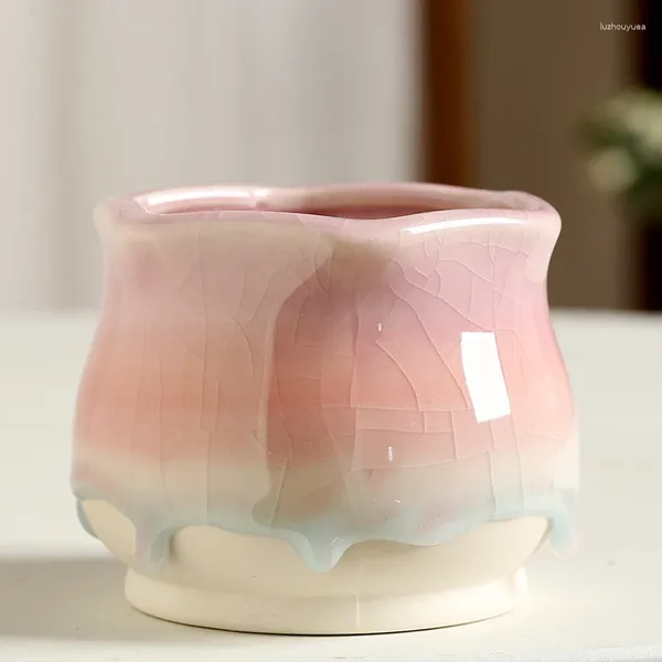 Vasos gradiente arco-íris suculento vaso de cerâmica único criativo simples respirável