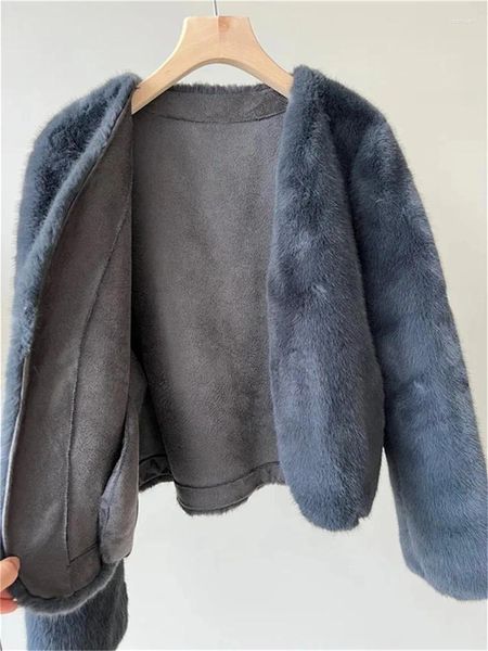 Giubbotti da donna 2024 Autunno Donna Lussuoso visone con scollo a V Cappotto di pelliccia sintetica O-Collo Manica lunga Tinta unita Morbido Giacca corta per la signora