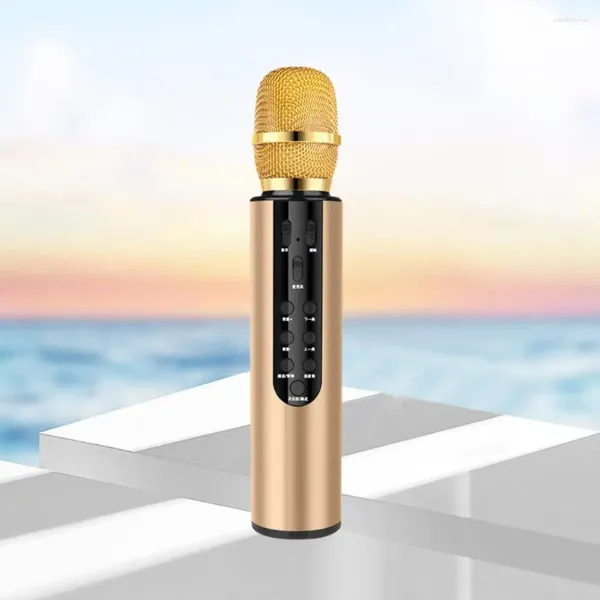 Pratica vocale dei microfoni Altoparlante microfono HD-compatibile per spettacoli dal vivo UHF wireless karaoke