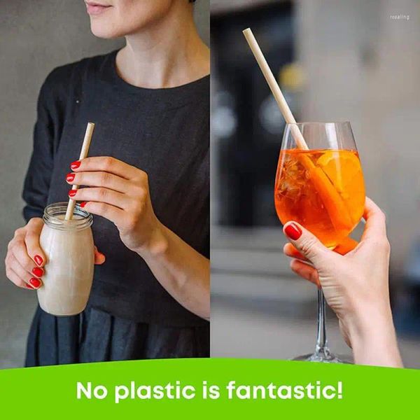 Trinkhalme Set Natürliche Bambus Wiederverwendbare Umweltfreundliche Party Bar Küche Sauber Pinsel Für Drop Großhandel