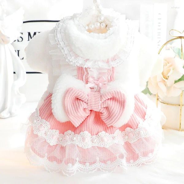 Cão vestuário bowknot saia roupas vestido rendas princesa cães roupas moda pequeno kawaii rosa gato traje outono inverno mascotas