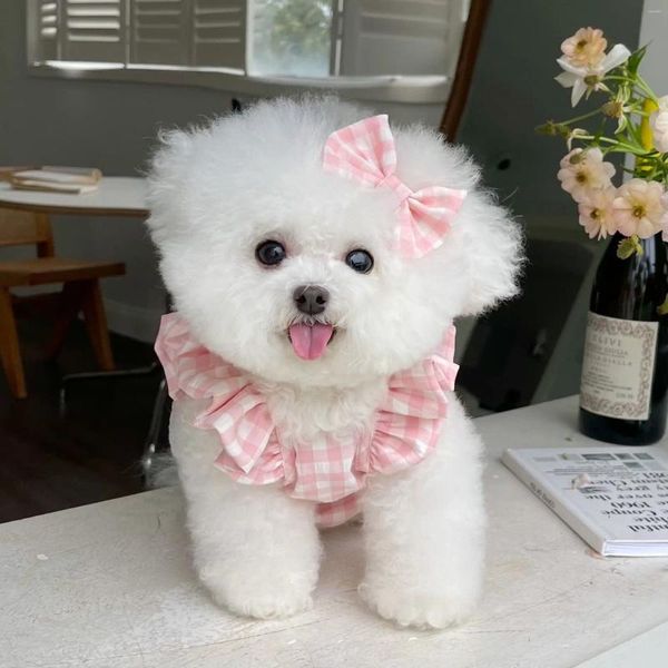 Abbigliamento per cani Abbigliamento per animali domestici Gonna estiva per gatti per Chihuahua Yorkshire Terrier Costume Bichon Barboncino Pomerania Abbigliamento maltese