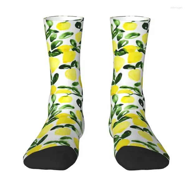 Herrensocken, Sommer-Zitronen-Frucht-Muster, Crew, Unisex, modisch, 3D-Druck, Aquarell, Zitrusfrüchte, botanische Kunst, Kleid