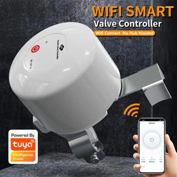 Controllo domestico intelligente Tuya WiFi Valvola acqua gas ON/OFF Timer automatico DN15 DN20 Supporto tubo Sensore telecomando Alexa