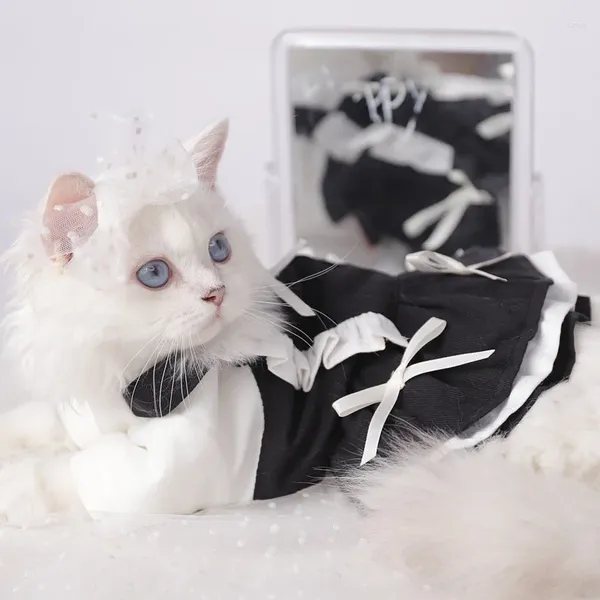 Costumi per gatti Vestiti Gattino Gonna bicolore Sfumatura argento Anti-pelo Cappotto autunnale Pet Estate Carino Abito da principessa Cane Costume a due zampe