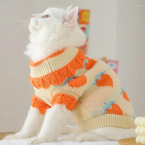 Costumi per gatti Vestiti Gattino di Natale Anti-pelo Pupazzo per animali domestici Inverno Blu Breve autunno e maglione