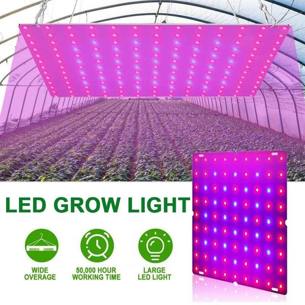 Crescer luzes espectro completo led luz 2000w plantas lâmpadas 110v lâmpada hidropônica 1000w 1500 estufa fito lâmpadas flor crescimento caixa de iluminação